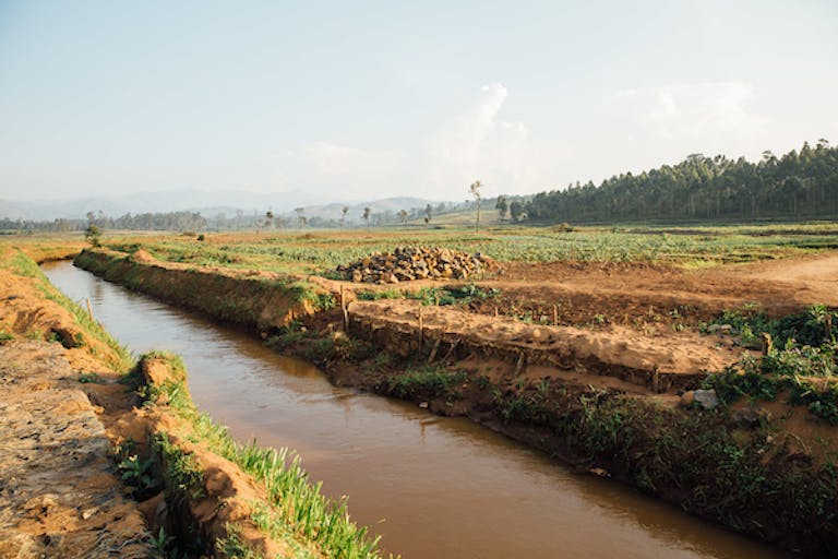 Canal d'irrigation à proximité des champs.