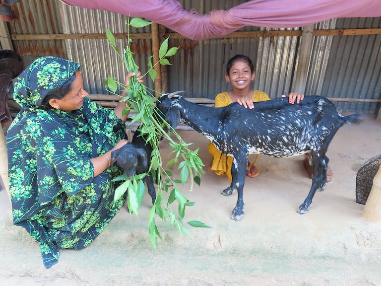 Ils-prennent-soin-et-nourrissent-ses-chèvres