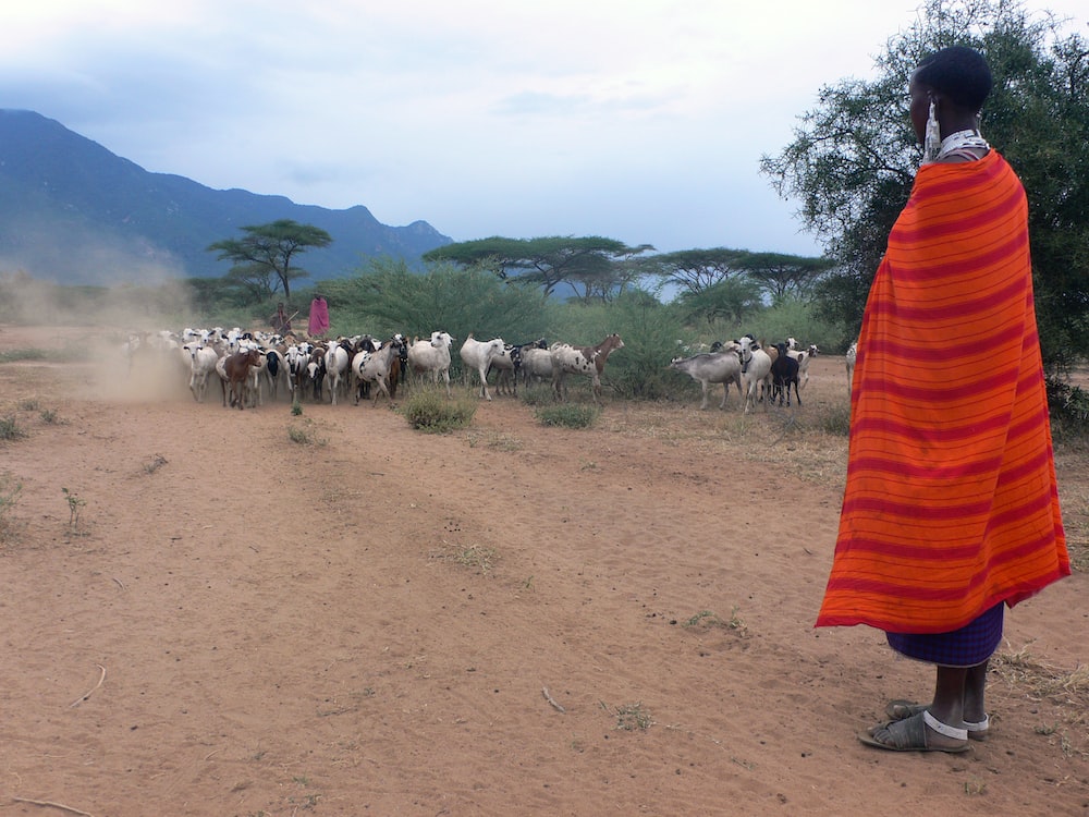 Mettre en lumière le rôle des femmes dans l'agriculture en Tanzanie