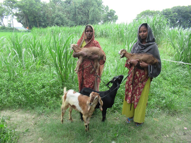 Hasiaya avec ses chèvres.