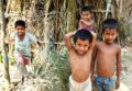 Contrôle des maladies non transmissibles au Bangladesh
