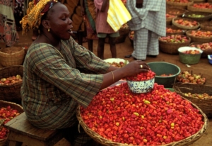 La Fondation Grace Agbonlahor