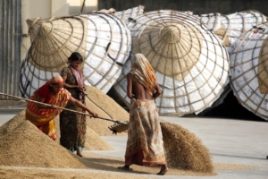 Combattre la pauvreté au Bangladesh