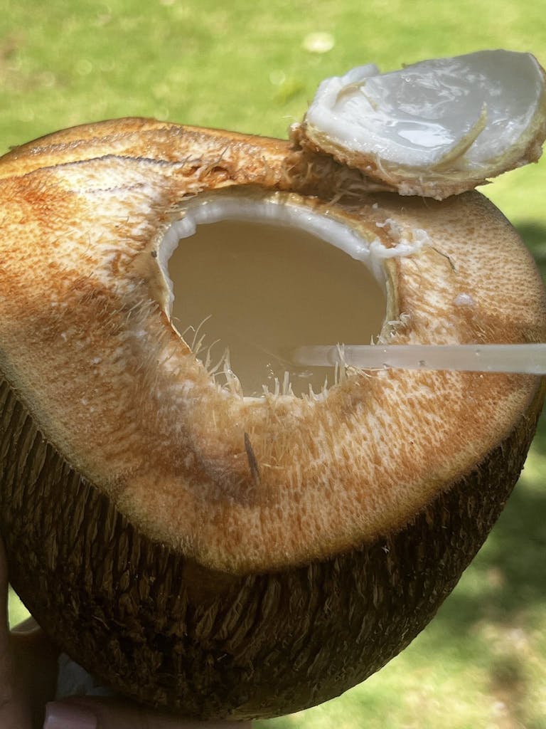 Jewelie a goûté à la culture de son enfant parrainé, en buvant de l'eau de coco, récoltée directement dans les cocotiers autour d'elle.