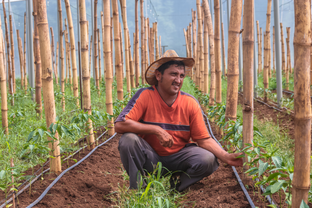 Pauvreté au Salvador