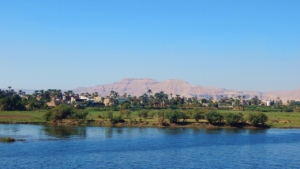 Exportation agricole en Égypte