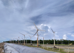 La transition verte de l'Afrique