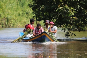 Identité communautaire en Guyane