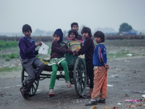 Nutrition à Delhi