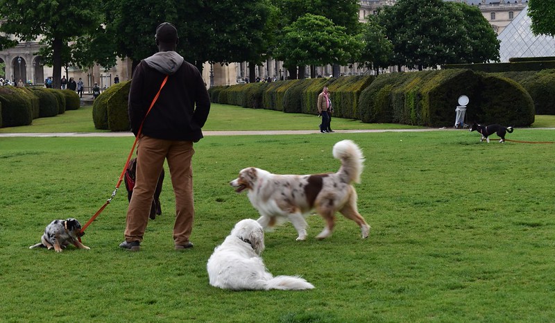 Commercialisation des services volontaires