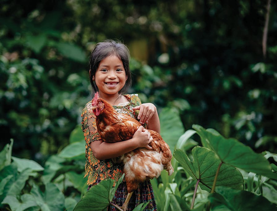 Poulets pour les enfants