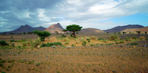 Sécurité alimentaire au Sahel