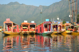 Réduction de la pauvreté au Cachemire