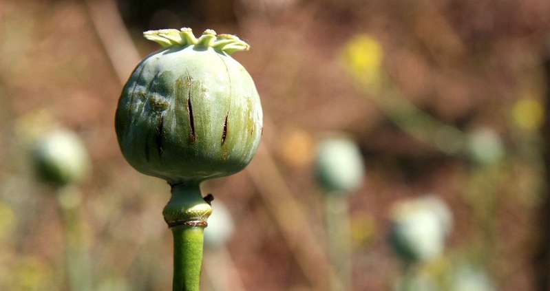 La pauvreté dans le nord de la Thaïlande