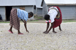 Programme IIW-BEK : Autonomiser les femmes au Kenya