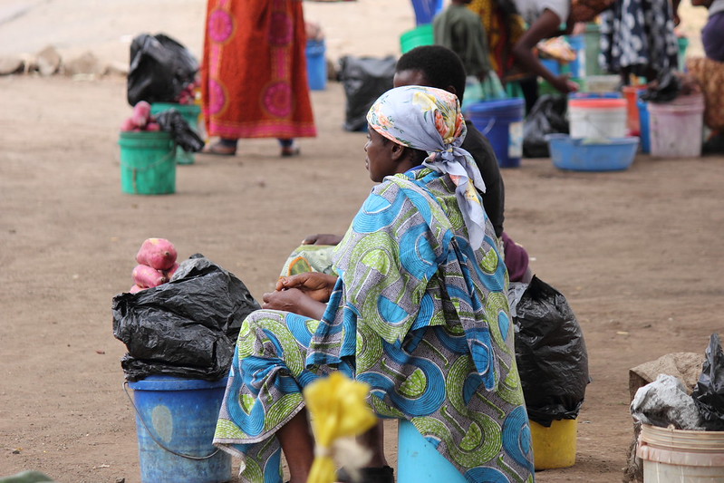 L’attrait économique du WCAH en Tanzanie 