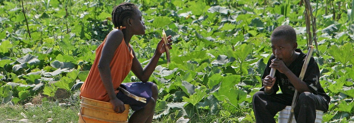 Le canal d'irrigation d'Haïti