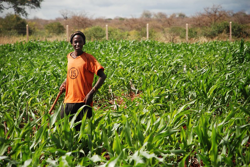 Heifer International en Ethiopie