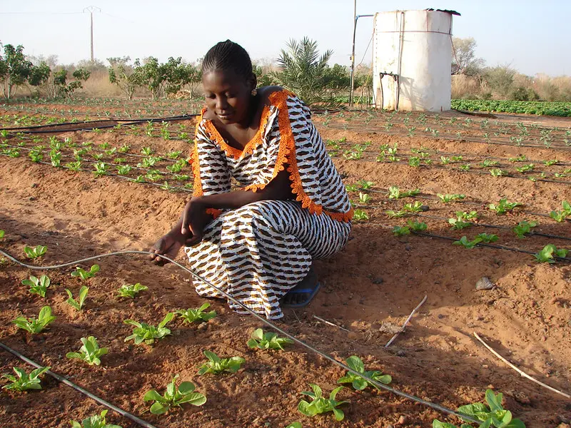 Nouveau programme Water Forward