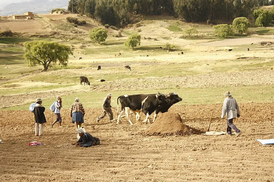 Éradication de la pauvreté en Bolivie