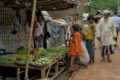 Migration vers le Bangladesh – La crise des Rohingyas