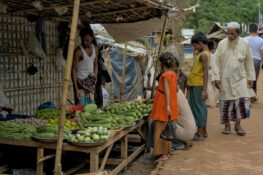 Migration vers le Bangladesh – La crise des Rohingyas