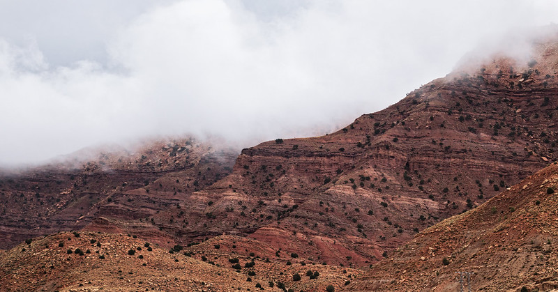 technologie de récolte du brouillard