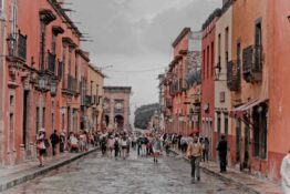 Réseaux de soutien pour les migrants autochtones à Mexico