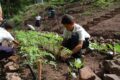 De la crise à la résilience : la sécurité alimentaire au Nicaragua