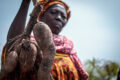 Transformer l’industrie du manioc au Nigeria en une entreprise florissante