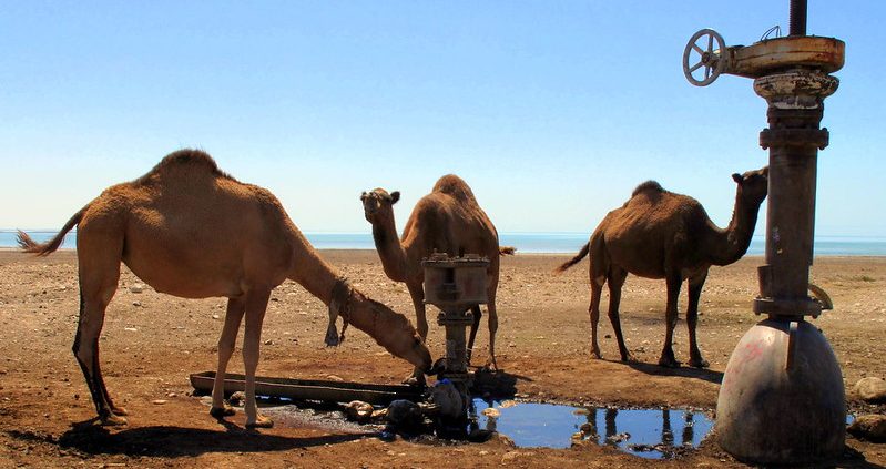 Sécurité alimentaire en Arabie Saoudite
