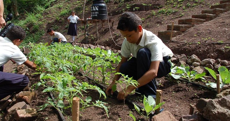 Sécurité alimentaire au Nicaragua