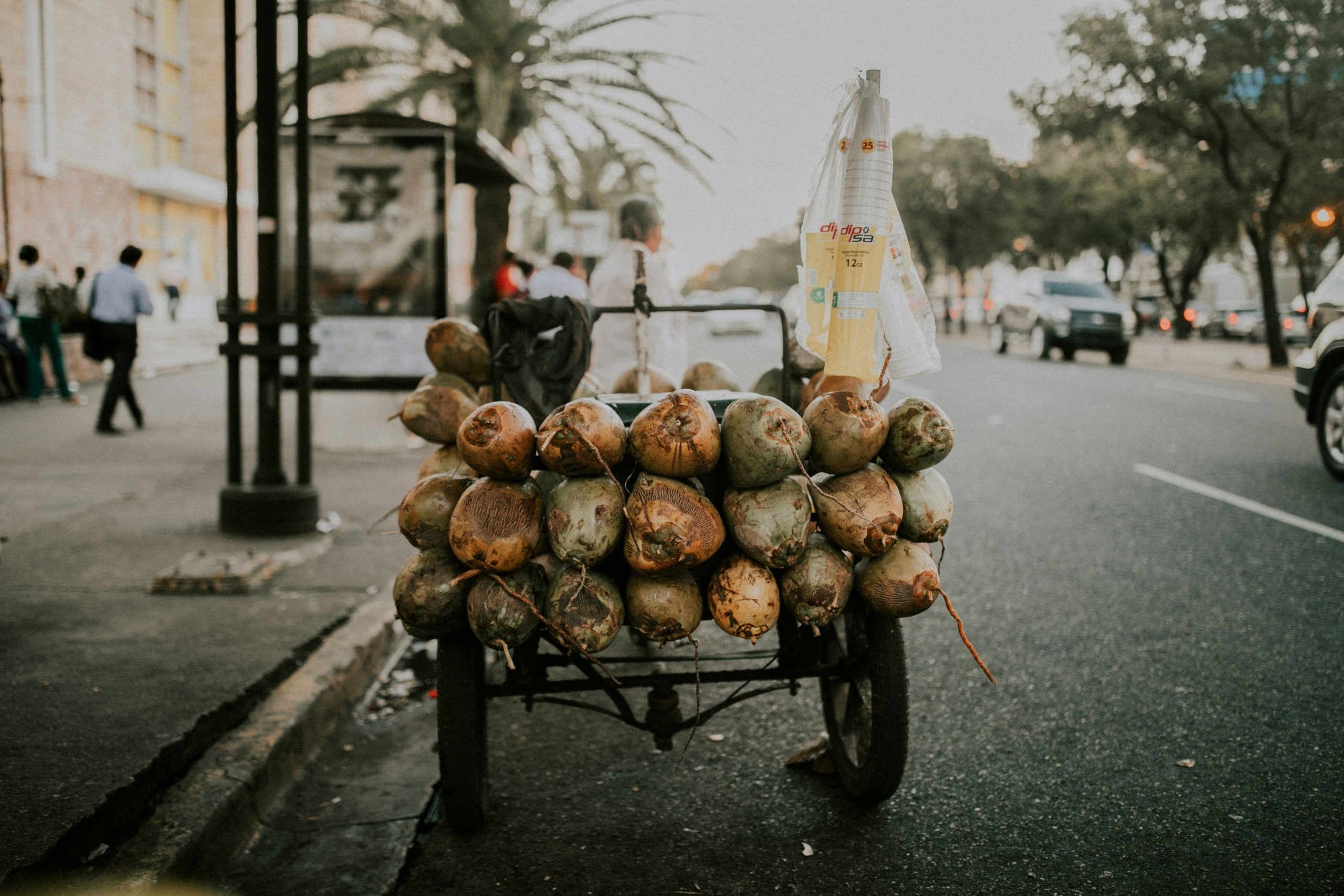 Un vendeur ambulant vend des fruits sur une charrette en République Dominicaine.