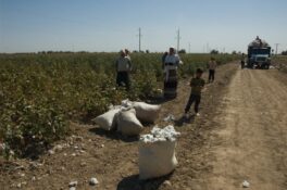 Chiffres manquants : l’écart salarial entre hommes et femmes au Turkménistan