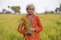 Technologie pour les petits agriculteurs en Inde