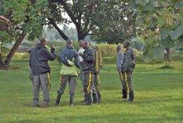 Conservation des gorilles de montagne et réduction de la pauvreté