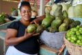 Mises à jour sur l’ODD 5 en Haïti