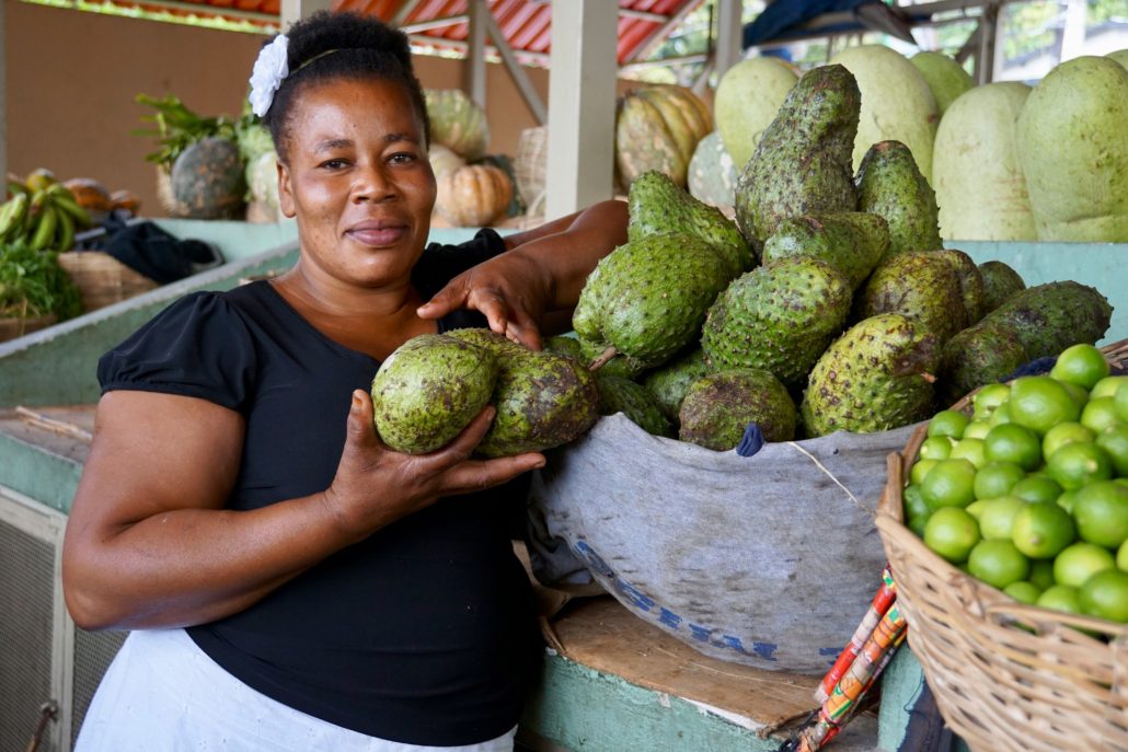 Mises à jour sur l’ODD 5 en Haïti
