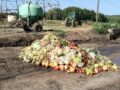 Comment le gaspillage alimentaire en Uruguay se transforme en repas