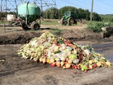 Comment le gaspillage alimentaire en Uruguay se transforme en repas